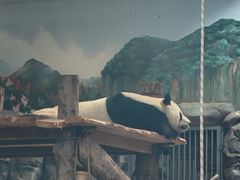 -武汉动物园