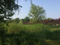 -祥源·阜阳生态乐园