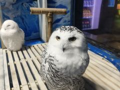 -成都浩海立方海洋公园