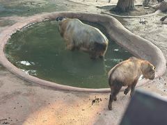 -杭州野生动物世界