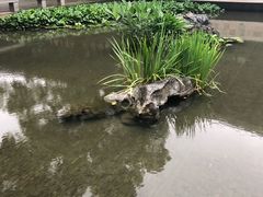 -鼓楼(西湖风景名胜区)