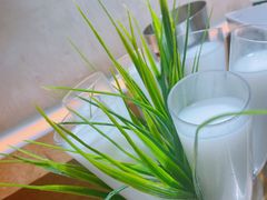 -探窝·竹笙椰子鸡(杨箕店)