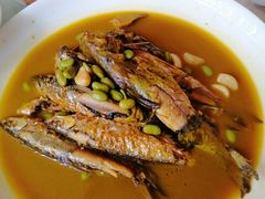 -孔庆璞河豚馆(白玉兰酒店)