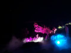 -《神游传奇》秀
