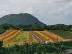 -东部华侨城