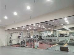 -拳义格斗搏击散打泰拳拳击俱乐部(裕华店)