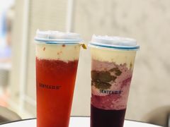 森芝柚见草莓-SENTEA森茶(麦地丽日店)