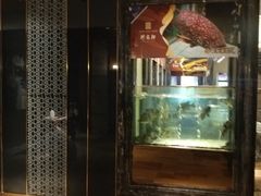 门面-珍宝轩海鲜火锅(碧湖大厦店)
