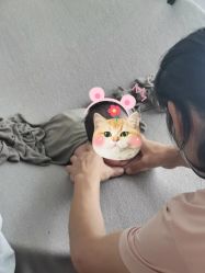 -BabyA 专业婴童摄影(古北时尚广场店)
