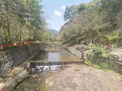 -广州白江湖森林公园