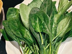 -芦月轩羊蝎子(劲松店)