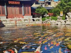 -下海庙