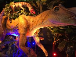 -恐龙探索乐园(磁器口店)