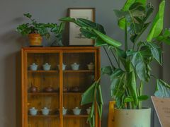 -一叶觅山(半边街店)