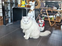 -無鱼咖啡店(淇澳岛店)