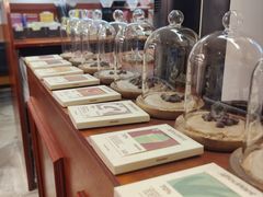 -The Roastery By AllYouWant(福田店)