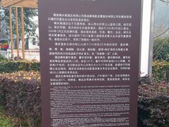 -雅安楠水阁温泉酒店