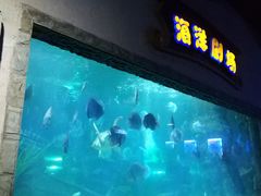 -南昌海洋公园