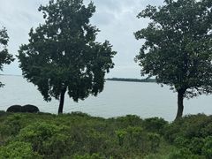 -苏州苏州湾艾美酒店-新食谱全日制餐厅