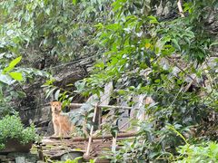 -高荡千年布依古寨旅游景区