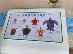 -广东惠东海龟国家级自然保护区