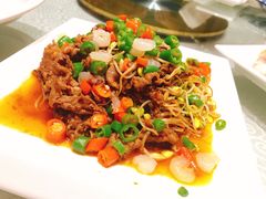 -四季春