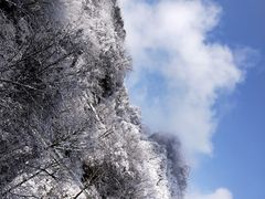 -光雾山旅游景区