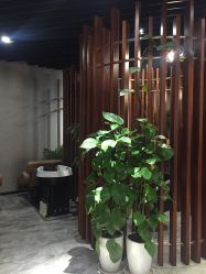 -思妍丽美发沙龙