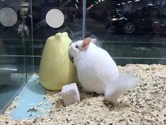 -宠物世家(仲盛世界商城店)