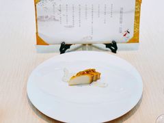 -诺莱仕游艇会