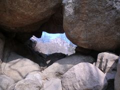 -鲁山国家森林公园