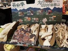 -芸山季·云南山珍菌火锅(人民广场来福士店)