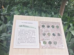 -成都市活水公园