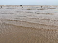-碧海金沙