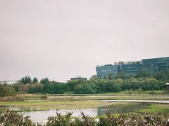 -华侨城湿地公园