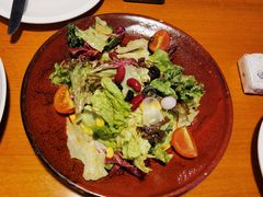 田园时蔬沙拉-布拉格餐厅· 中欧捷克菜(全国首店)