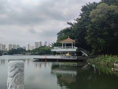 -荔枝公园(福田区)