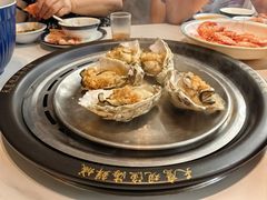 -天鹰观渔(梦园店)