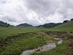-关山草原
