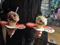 -野人先生现做冰淇淋(北京顺义祥云小镇店)
