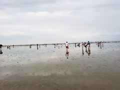 -奉贤海滩