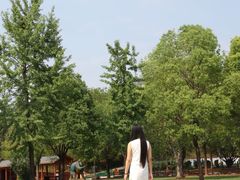 -中国西峡恐龙遗迹园