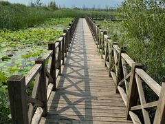 -野鸭湖国家湿地公园