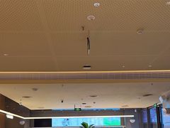 -Bco豆库(星耀天地店)