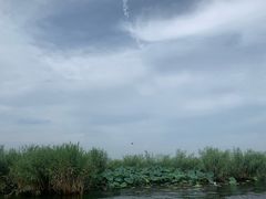 -白洋淀景区