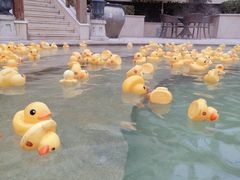 -苏州湾王焰温泉度假酒店