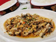 -寻味顺德·南记酒家·传统顺德菜·鱼生(广源路店)