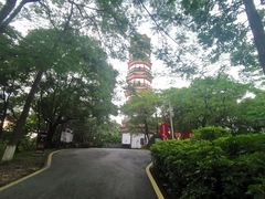 -分塔山省级森林公园