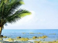 -万泉河漂流