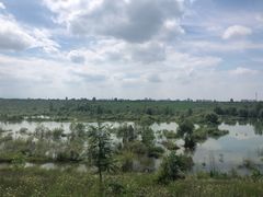 -黑河国家森林公园